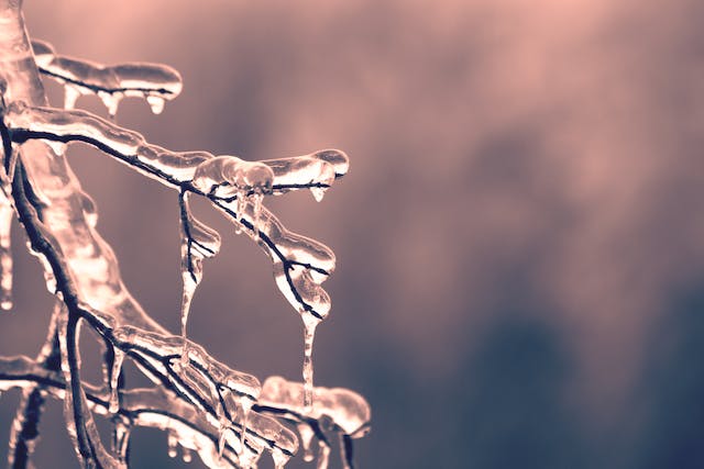 Tuin winterklaar maken? Wij helpen u graag in 3 stappen