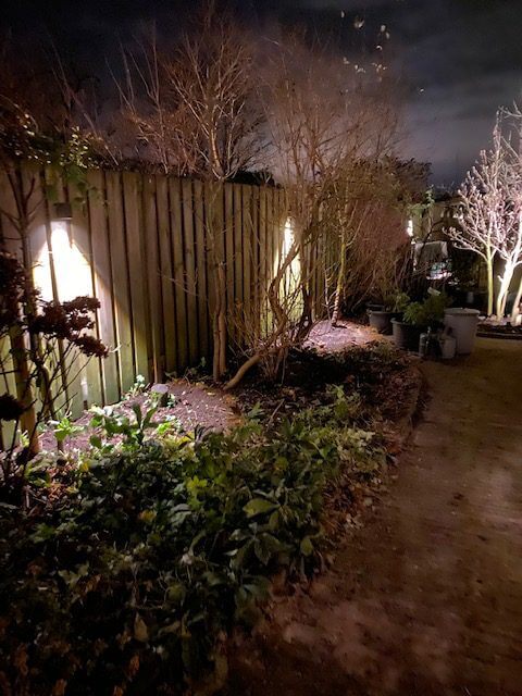 bitter vloek buste LED verlichting plaatsen in uw tuin | Verschoor Groenprojecten