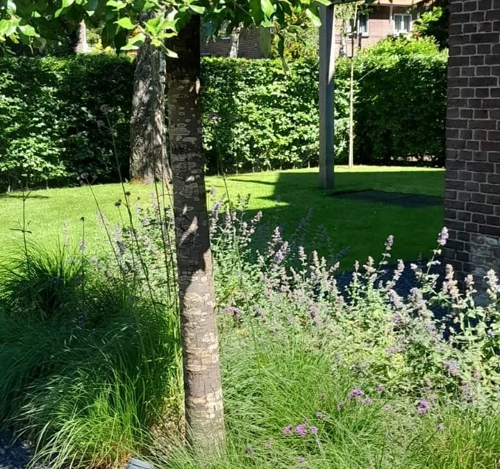 Onderhoud van de tuin in Wassenaar