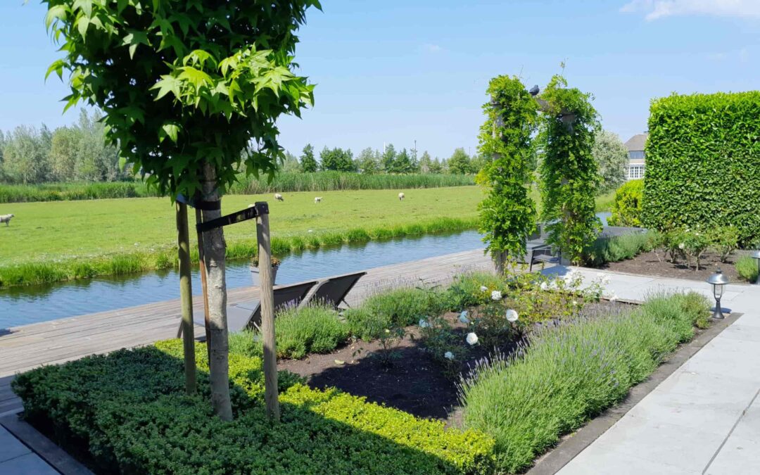 Tuinonderhoud in Gouda