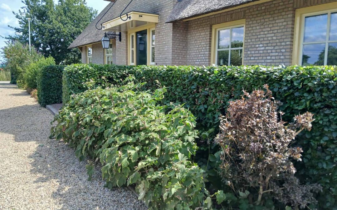 Tuinonderhoud in Stolwijk