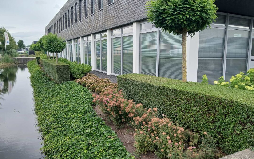 Tuinonderhoud gouwepark in Moordrecht