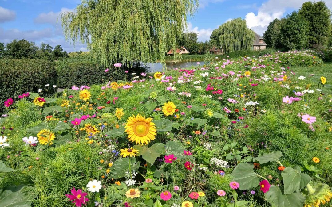 Groot tuinonderhoud in Reeuwijk