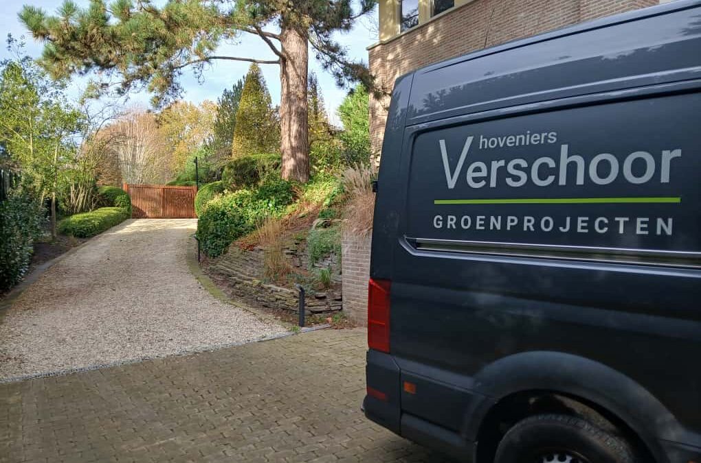Voorjaarsbeurt tuin: wat moet u als eerste aanpakken?